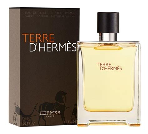 terre.d hermes|terre d'hermes for men 100ml.